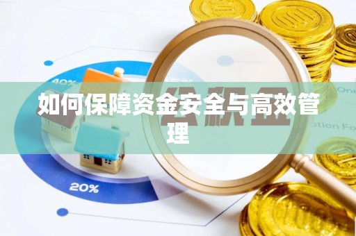 东河如何保障资金安全与高效管理
