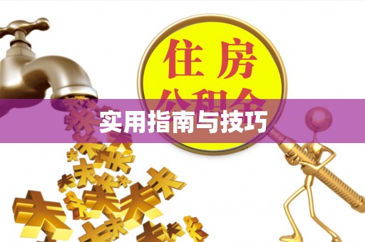 东河实用指南与技巧
