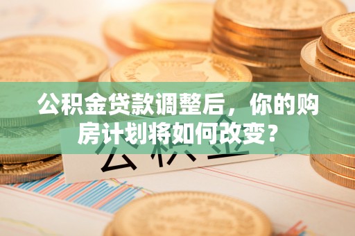 东河公积金贷款调整后，你的购房计划将如何改变？