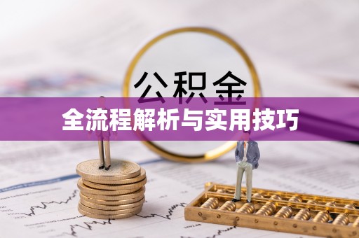 东河全流程解析与实用技巧