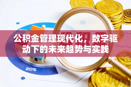 东河公积金管理现代化，数字驱动下的未来趋势与实践