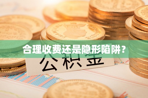 东河合理收费还是隐形陷阱？