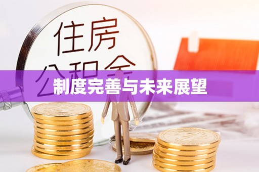 东河制度完善与未来展望