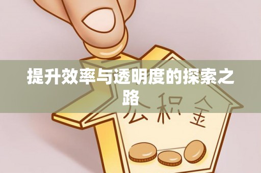 东河提升效率与透明度的探索之路