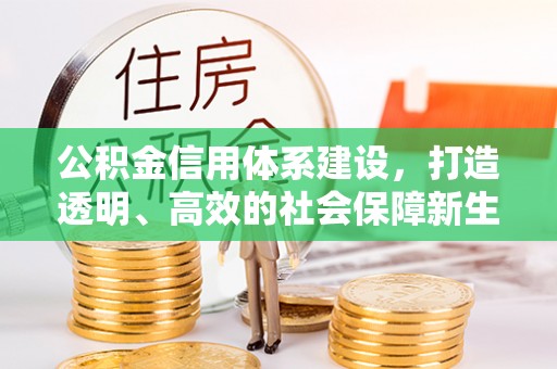 东河公积金信用体系建设，打造透明、高效的社会保障新生态