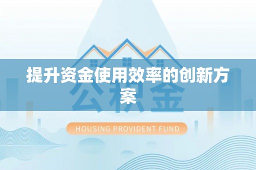 东河提升资金使用效率的创新方案