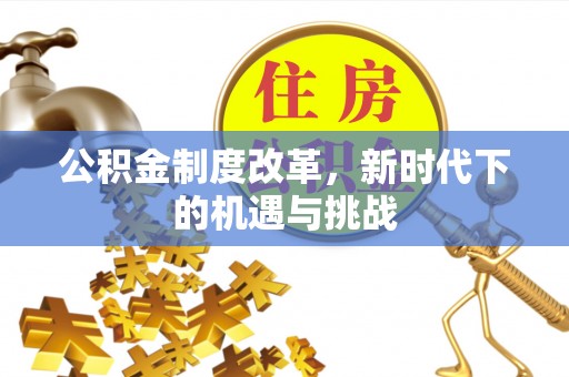 东河公积金制度改革，新时代下的机遇与挑战