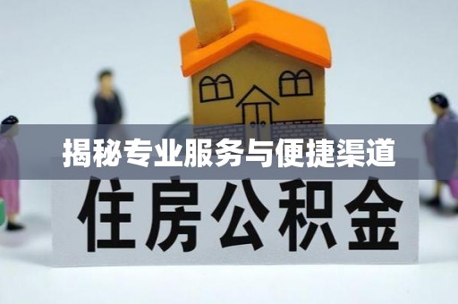 东河揭秘专业服务与便捷渠道