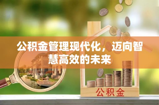 东河公积金管理现代化，迈向智慧高效的未来