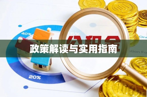 东河政策解读与实用指南