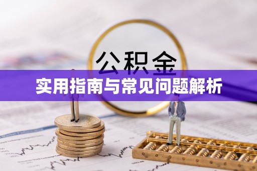 东河实用指南与常见问题解析