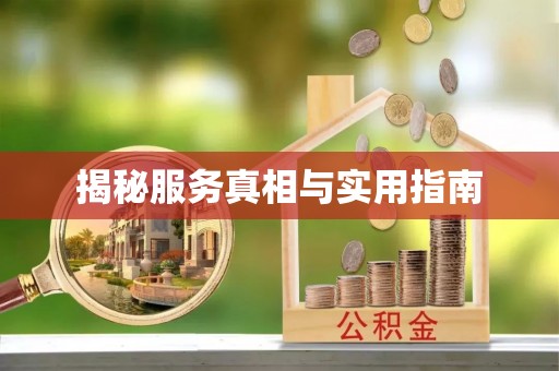东河揭秘服务真相与实用指南