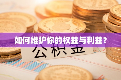 东河如何维护你的权益与利益？