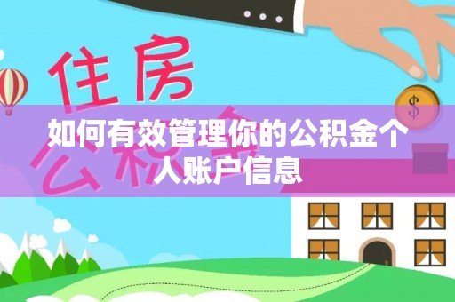 东河如何有效管理你的公积金个人账户信息