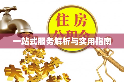 东河一站式服务解析与实用指南