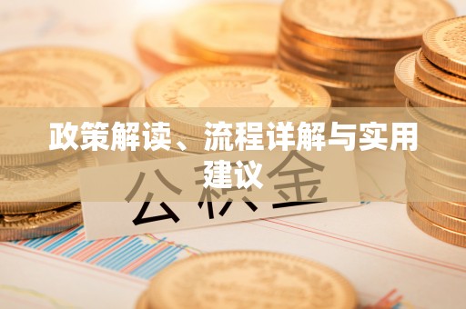 东河政策解读、流程详解与实用建议