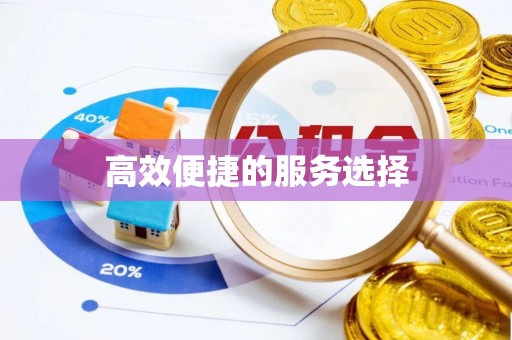 东河高效便捷的服务选择