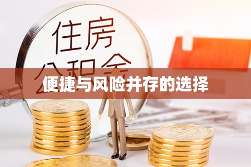 东河便捷与风险并存的选择